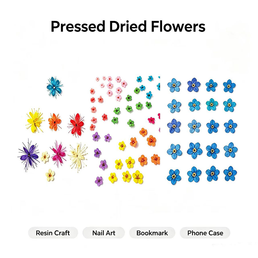Resin Art Case - 60 adet Mini Preslenmiş Kurutulmuş Çiçek